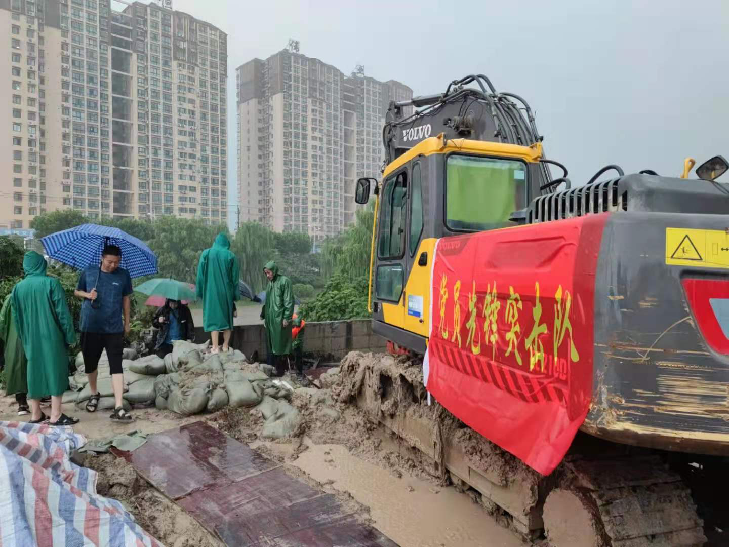 图片3