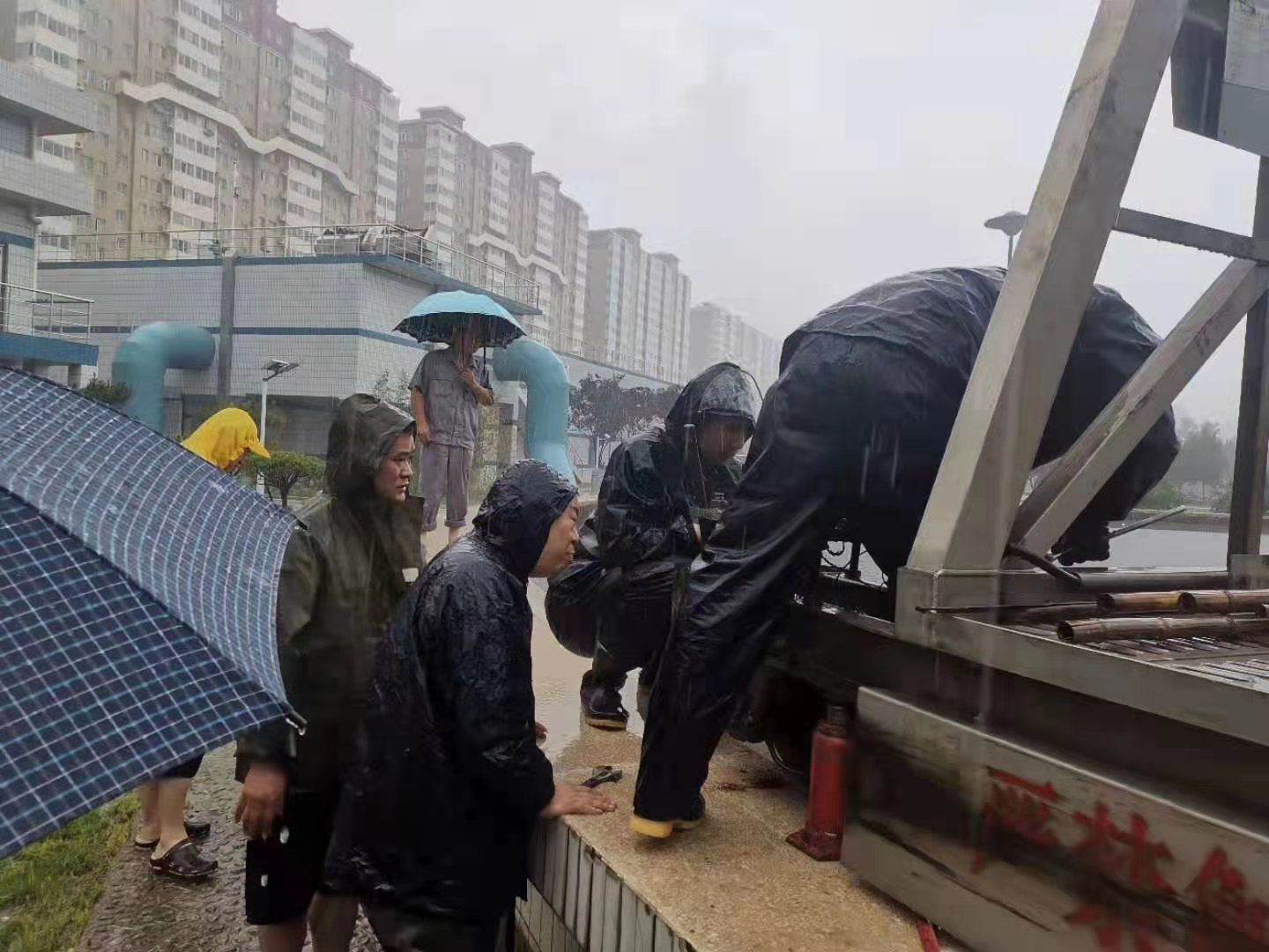 图片5
